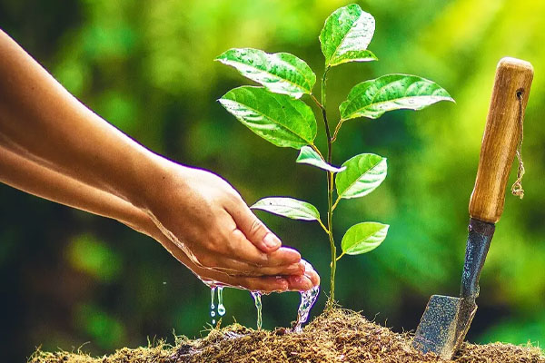 இலங்கையில் வெளிநாட்டவர் செய்த நெகிழ்ச்சி செயல் | Act Of Resilience By A Foreigner In Sri Lanka