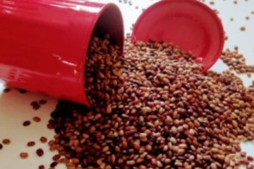 உடலில் தேங்கியுள்ள கொழுப்புகளை நொடியில் கரைக்கும் ஒரே ஒரு பொருள்! தினமும் சாப்பிட்டால் என்ன நடக்கும் தெரியுமா?