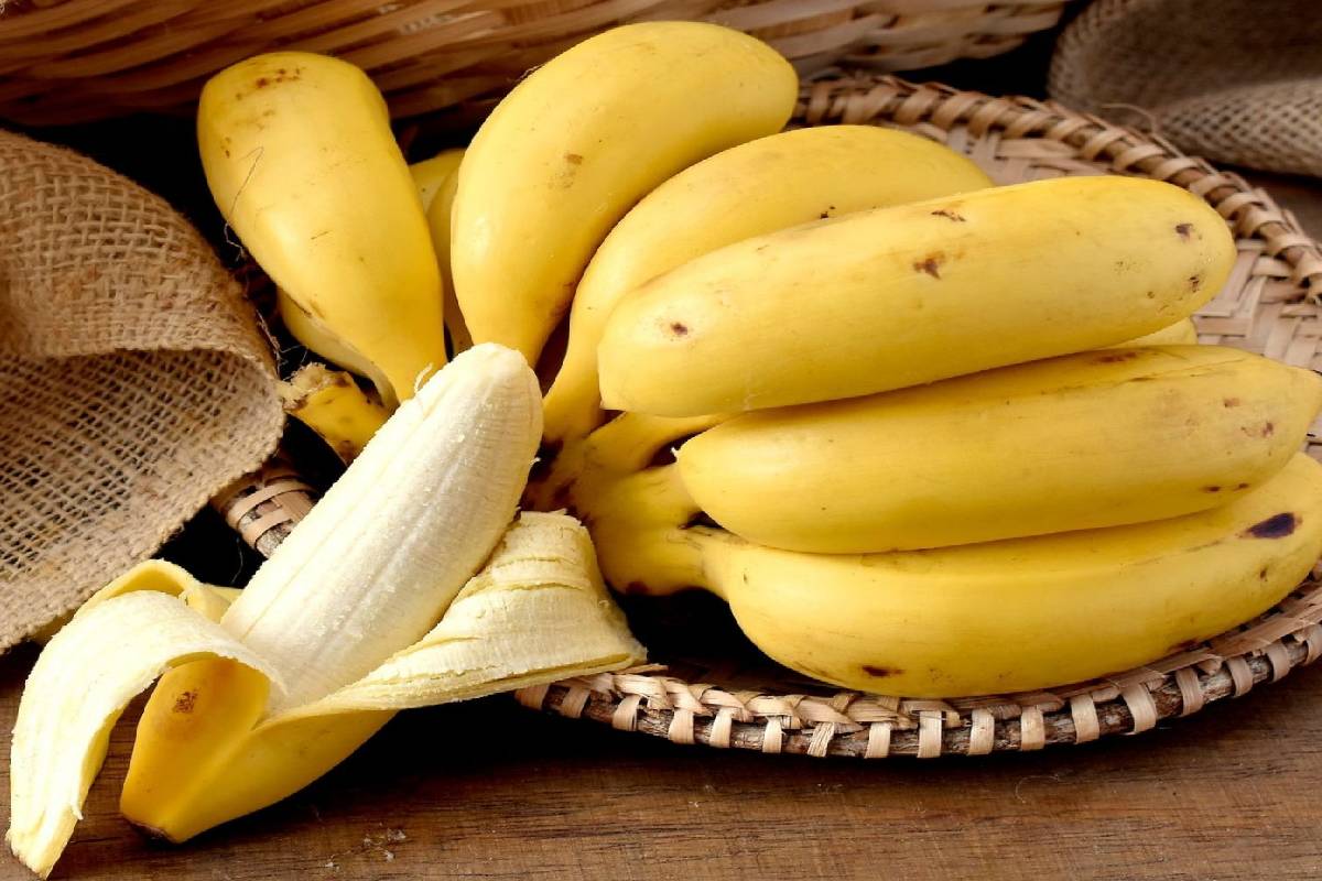 ஈஸியா உடல் எடையைக் குறைக்க எவ்வாறு வாழைப்பழம் சாப்பிட வேண்டும் தெரியுமா? | Do You Know How To Eat Bananas Lose Weight Easily