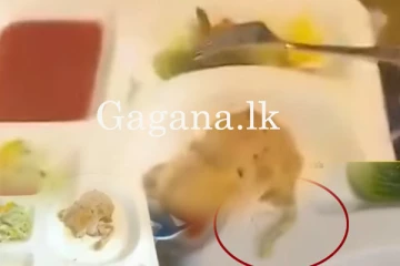 මෙරට ප්‍රධාන පෙලේ රෝහලක හදවත් රෝගියෙකුට දුන් කෑම පිඟානක තිබී හමු වූ දේ. - (VIDEO)