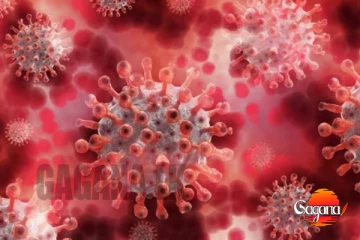 මුළු රටටම අනතුරු ඇඟවීමක්, ලංකාවෙන් තවත් මාරාන්තික වෛරසයක්