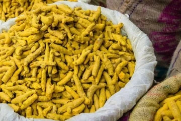 கற்பிட்டியில் சூட்சுமமான முறையில் மறைத்து வைக்கப்பட்டிருந்த பெருந்தொகையான மஞ்சள் மீட்பு