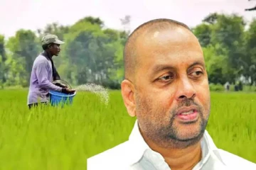 விவசாயிகளுக்கு மகிழ்ச்சித் தகவல் - மீண்டும் இலவச யூரியா உரம்..!