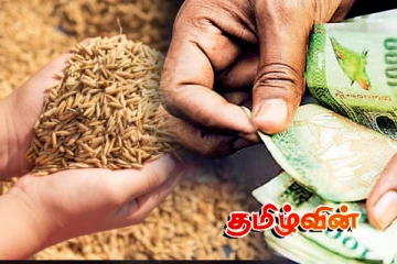 வடக்கில் கொள்வனவு செய்யப்பட்டுள்ள நெல்லின் அளவு