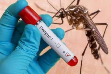 பிரேசிலில் தீவிரமடையும் டெங்கு காய்ச்சல்! 391 பேர் பரிதாபமாக உயிரிழப்பு!