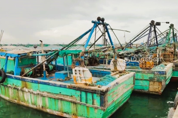 இலங்கை கடற்படையின் நடவடிக்கைகளுக்கு எதிராக இந்தியாவில் முன்னெடுக்கப்படும் போராட்டம் | Strike Against Sri Lanka Navy Actions India