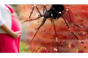 மூளை செல்களை தாக்கி அழிக்கும் ஜிகா வைரஸ் பரவல் ஆரம்பம்! தற்காத்துக் கொள்ள என்ன செய்யலாம்? எச்சரிக்கும் மருத்துவர்கள்