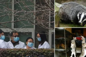 கொரோனா இந்த விலங்குகளிடமிருந்து தான் மனிதனுக்கு பரவியிருக்கும்! வைரஸின் தோற்றம் குறித்து ஆராயும் WHO நிபுணர்கள் முக்கிய தகவல்