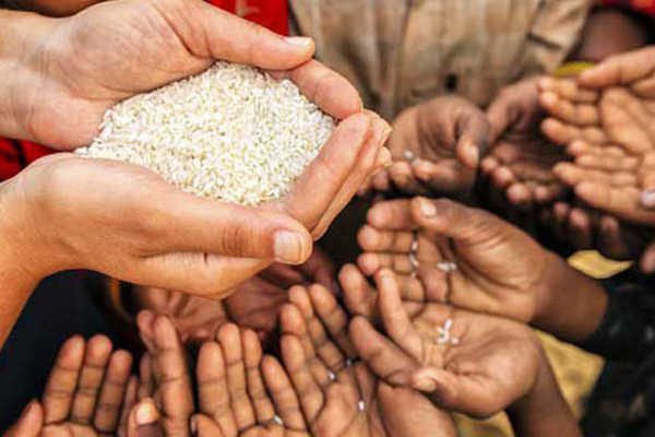 இலங்கையில் விரைவில் ஏற்படப் போகும் உணவுப் பஞ்சம் குறித்து ரணில் எச்சரிக்கை | Food Shortage In Srilanka Ranil Warning