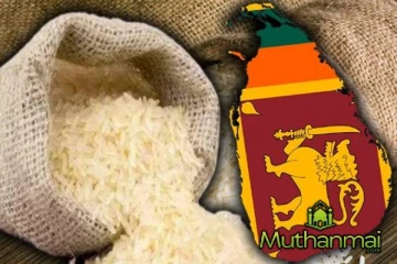 அரிசி இறக்குமதி செய்யப்பட்டமைக்கான காரணம் குறித்து அமைச்சர் விளக்கம்