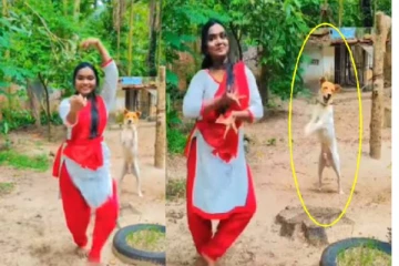 பரதம் ஆடி மில்லியன் பேரை கிரங்க செய்த தமிழச்சி.... ஒரே நாளில் ஹீரோவான நாய் குட்டி! என்ன நடந்தது?