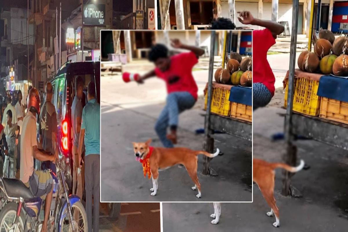 அனோஜனை பாதுகாக்க சட்டப் போராட்டம் முன்னெடுக்க வேண்டும் : இம்ரான் எம்.பி கோரிக்கை | A Legal Battle Must Be Waged To Protect Anojan அனோஜனை பாதுகாக்க சட்டப் போராட்டம் முன்னெடுக்க வேண்டும் : இம்ரான் எம்.பி கோரிக்கை | A Legal Battle Must Be Waged To Protect Anojan