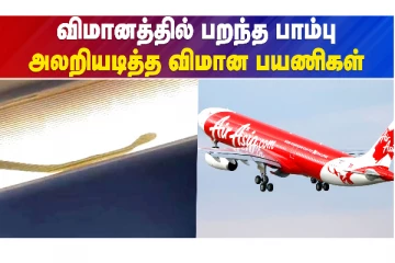 AirAsia India விமானத்தில் பயணம் செய்த பாம்பு