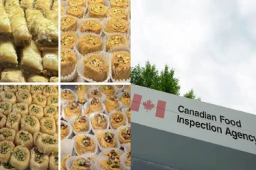 கனடாவில் பிஸ்தா சாப்பிட்ட 105 பேருக்கு உடல் நலம் பாதிப்பு