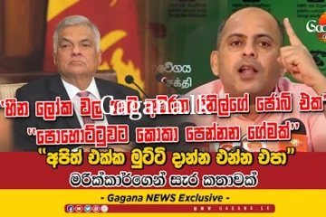 හීන ලෝක වල ගැට අඹරන රනිල්ගේ ජොබ් එක පොහොට්ටුවට කොකා පෙන්නන ගේමක්’’