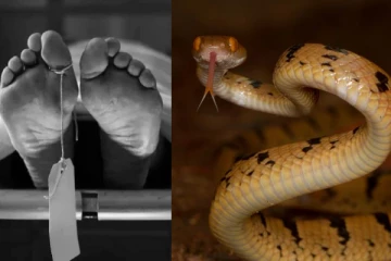 இறந்த நபரின் தொடையில் இருந்து உயிருடன் வந்த பாம்பு - திடுக்கிடும் சம்பவம்!