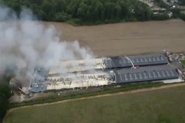 எரிவாயு கசிவு : சுமார் 3,000 கோழிகள் தீயில் கருகின - ஐபிசி தமிழ்