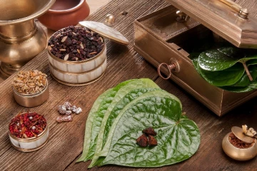 உயிர் காக்கும் வெற்றிலை... இவ்வளவு நாள் இது தெரியாம போச்சே