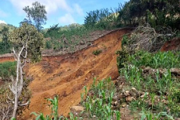 டித்வா புயலால் அழிவடைந்த தென்னை மரங்களுக்கு இழப்பீடு | Rs 10000 Compensation For Coconut Tree Destroyed டித்வா புயலால் அழிவடைந்த தென்னை மரங்களுக்கு இழப்பீடு | Rs 10000 Compensation For Coconut Tree Destroyed