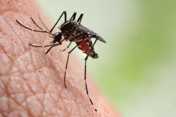 பிரித்தானியாவில் பரவத் துவங்கும் டெங்கு காய்ச்சல்: மற்றொரு நாட்டிற்கு சென்றதால் தொற்றியதாக பரவும் செய்தி