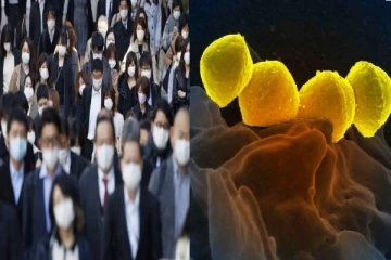 2 நாளில் மரணம் உறுதி...தீவிரமாக பரவி வரும் மர்ம நோய் - அச்சத்தில் உலக நாடுகள்!