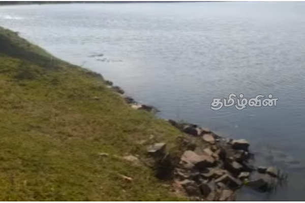 கிண்ணியா குரங்கு பாஞ்சான் குளத்தின் குளக்கட்டினை புனரமைத்து தருமாறு கோரிக்கை (video) | Request For Kiniya Kurangu Panjan Pond