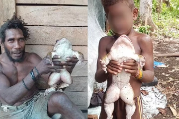 மனித குழந்தை அளவில் ஒரு ராட்சத தவளை... ஆச்சரியத்தில் ஆழ்ந்துள்ள ஒரு கிராமம்