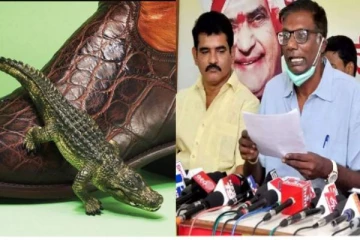 ரூ.1.34 லட்சத்திற்கு முதலை தோல் செருப்பு அணிந்த முதலமைச்சர் - எதிர்க்கட்சி குற்றச்சாட்டு!