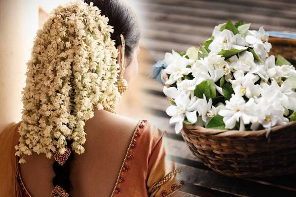 பெண்கள் ஏன் தலையில் பூ வைக்கிறாங்கன்னு தெரியுமா? இப்படியொரு ரகசியம் இருக்கா! | Why Girls Wear Flowers On Their Heads Benefits