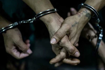 திருக்கோவில் வில்காமத்தில் புதையல் தோண்டிய 11 பேர் கைது