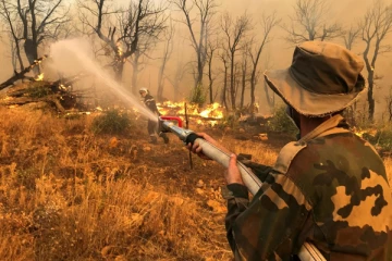 பரவும் காட்டுத்தீயால் ஆத்திரம்: கும்பலால் உயிருடன் எரித்துக் கொல்லப்பட்ட நபர்