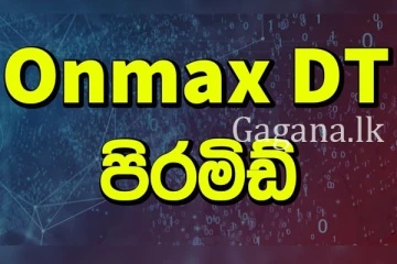 Onmax DT තැන්පත්කරුවන් හා මුදල් ගැන මහේස්ත්‍රාත්ගේ විශේෂ නියෝගයක්.