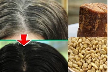 நரை முடி கருப்பாக மாறனுமா? வீட்டிலேயே இதை சாப்பிட்டால் உடனடி பலன்