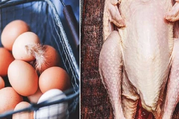 முட்டை தொழிலை நிறுத்தவேண்டிய நிலை