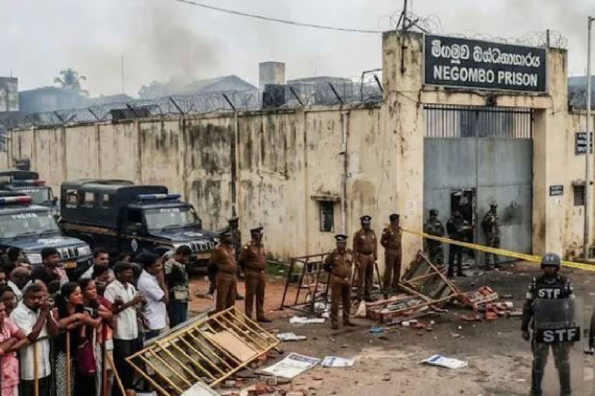 ஜனாதிபதிக்கு எதிராகப் பிரேரணை கொண்டு வருவது அவசியம் - மொட்டுக் கட்சி | Necessary To Bring Motion Against President ஜனாதிபதிக்கு எதிராகப் பிரேரணை கொண்டு வருவது அவசியம் - மொட்டுக் கட்சி | Necessary To Bring Motion Against President