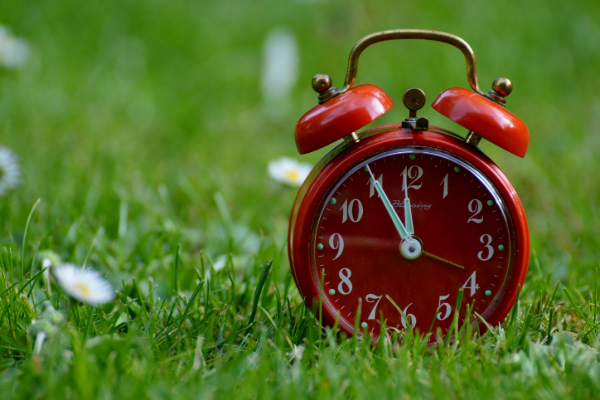 வாஸ்து: வீடுகளில் இரண்டு கடிகாரம் மேல் வைக்கக்கூடாதாம்.. ஏன் தெரியுமா? | As Vastu Can We Keep More Than Two Clocks At Home வாஸ்து: வீடுகளில் இரண்டு கடிகாரம் மேல் வைக்கக்கூடாதாம்.. ஏன் தெரியுமா? | As Vastu Can We Keep More Than Two Clocks At Home