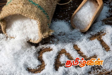 உப்புத்தட்டுப்பாட்டுக்கான தீர்வு தொடர்பில் வெளியான அறிவிப்பு