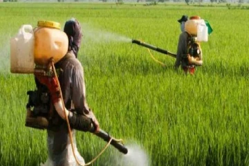 இரசாயன பசளைகள்,பூச்சிக்கொல்லிகளை சந்தையில் நிரம்பல் செய்ய அரசாங்கம் உத்தரவு