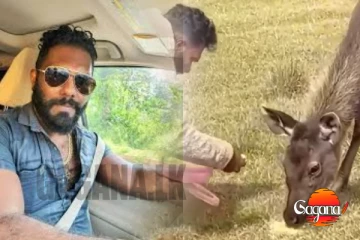 හෝටර්න් තැන්නේ ගෝන්නුන්ට කන්න දීපු ප්‍රියාන් මැණික් අන්තිමේදී නැවතුණු තැන