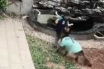 நொடியில் ஹீரோவான நாய்...சிறுவன் உயிரை காப்பாற்றிய காட்சி