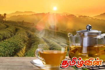 இயற்கை பேரழிவால் தேயிலைத் தொழில் கடுமையாகப் பாதிப்பு