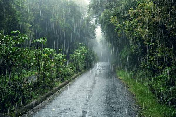 25,000 கொடுப்பனவு தொடர்பில் ஜனாதிபதி அதிகாரிகளுக்கு விடுத்துள்ள பணிப்புரை | President Instructs Payment Of 25000 Allowance 25,000 கொடுப்பனவு தொடர்பில் ஜனாதிபதி அதிகாரிகளுக்கு விடுத்துள்ள பணிப்புரை | President Instructs Payment Of 25000 Allowance