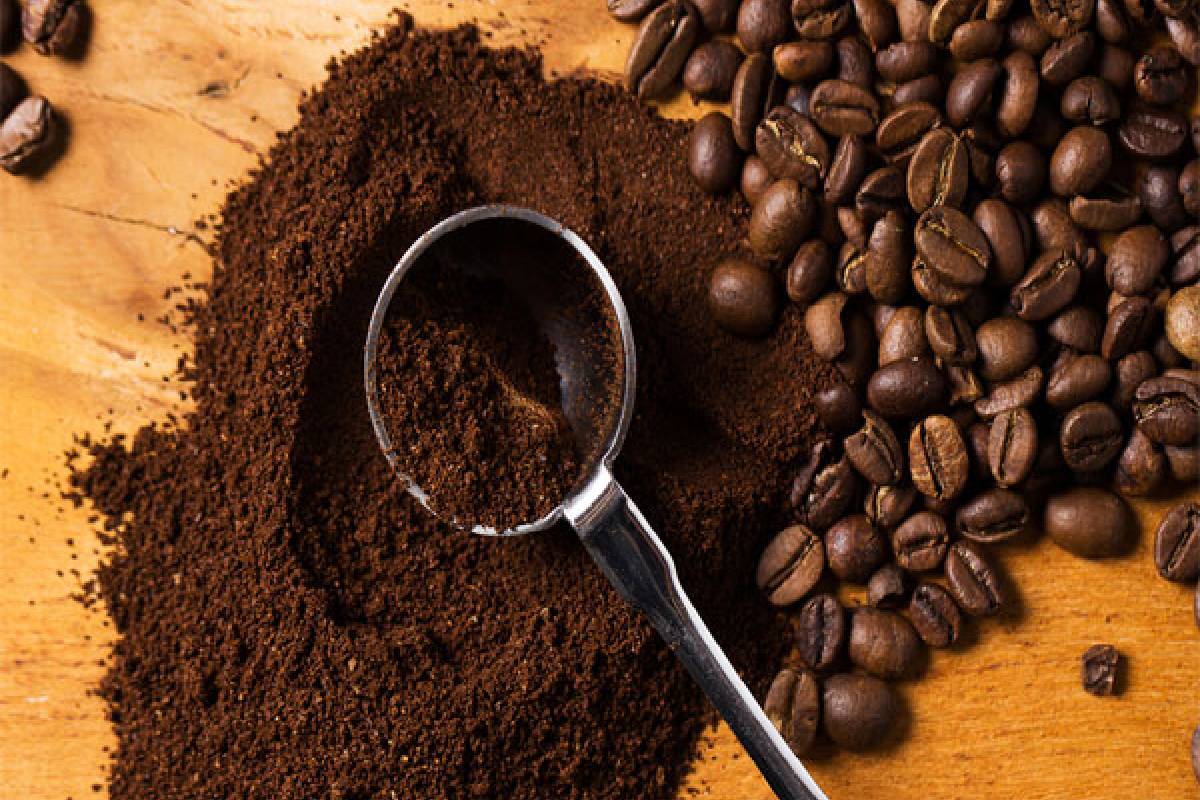 காபி அதிகமாக குடிப்பவர்களுக்கு இந்த நோய் வராதாம் - நிபுணர் கூற்று | Drink A Lot Of Coffee Do Not Get This Disease