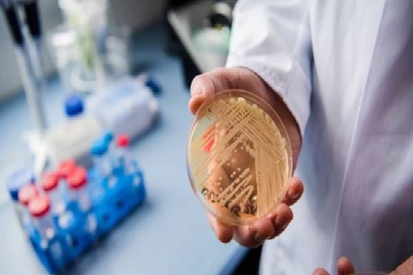 அமெரிக்காவை அலறவிடும் பூஞ்சை தொற்று | A Fungal Infection That Is Scaring America