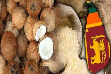 லங்கா சதொச நிறுவனத்தினால் நுகர்வோருக்கு 5 கிலோ நாடு அரிசி 3 தேங்காய்கள் விற்பனை