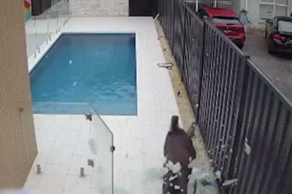 பயத்தில் சுக்குநூறாக வீட்டின் கண்ணாடி உடைத்த மான்! | The Deer Broke The Glass Of The House In Fear