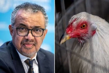 இன்னொரு பேரழிவு... உலக சுகாதார அமைப்பு விடுத்துள்ள கடும் எச்சரிக்கை