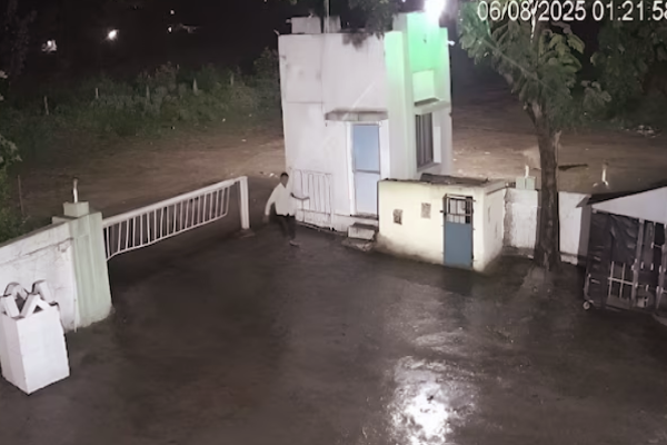 தற்செயலாக சந்தித்த மனிதனும்,சிங்கமும் - கடைசியில் நடந்ததை முடிந்தால் சிரிக்காம பாருங்க | Man Lion Come Face To Face Video Goes To Viral
