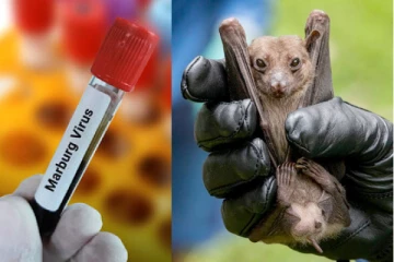 ஆப்பிரிக்காவில் காட்டுத்தீ போல் பரவும் கொடிய வைரஸ்! அமெரிக்க சுகாதார அமைப்பு எச்சரிக்கை