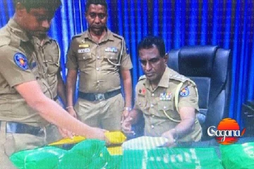 පිරමිඩ ජාවාරම් කළ චීන ජාතිකයන් 16ක් අත්අඩංගුවට